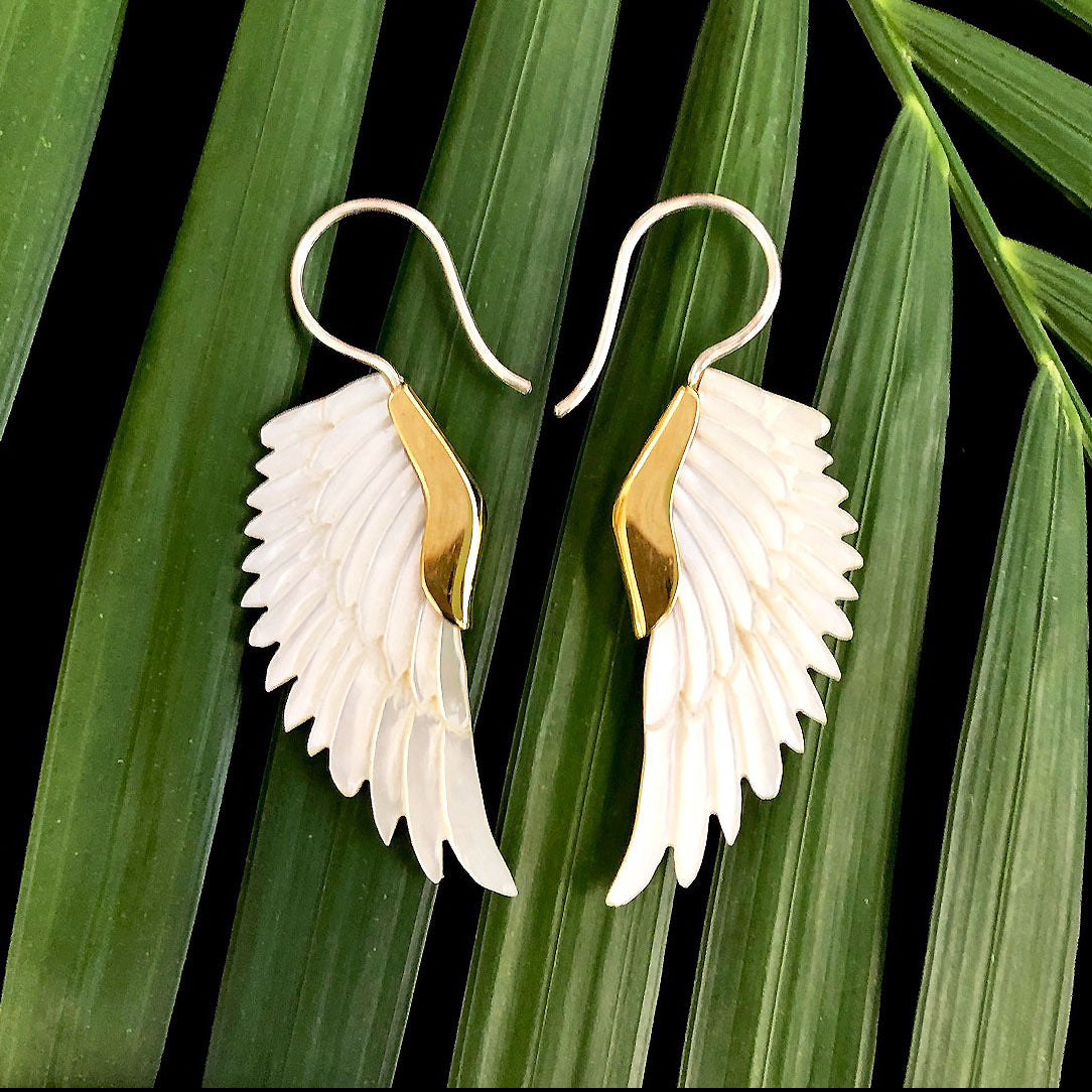 Small Eagles Wing - Shell