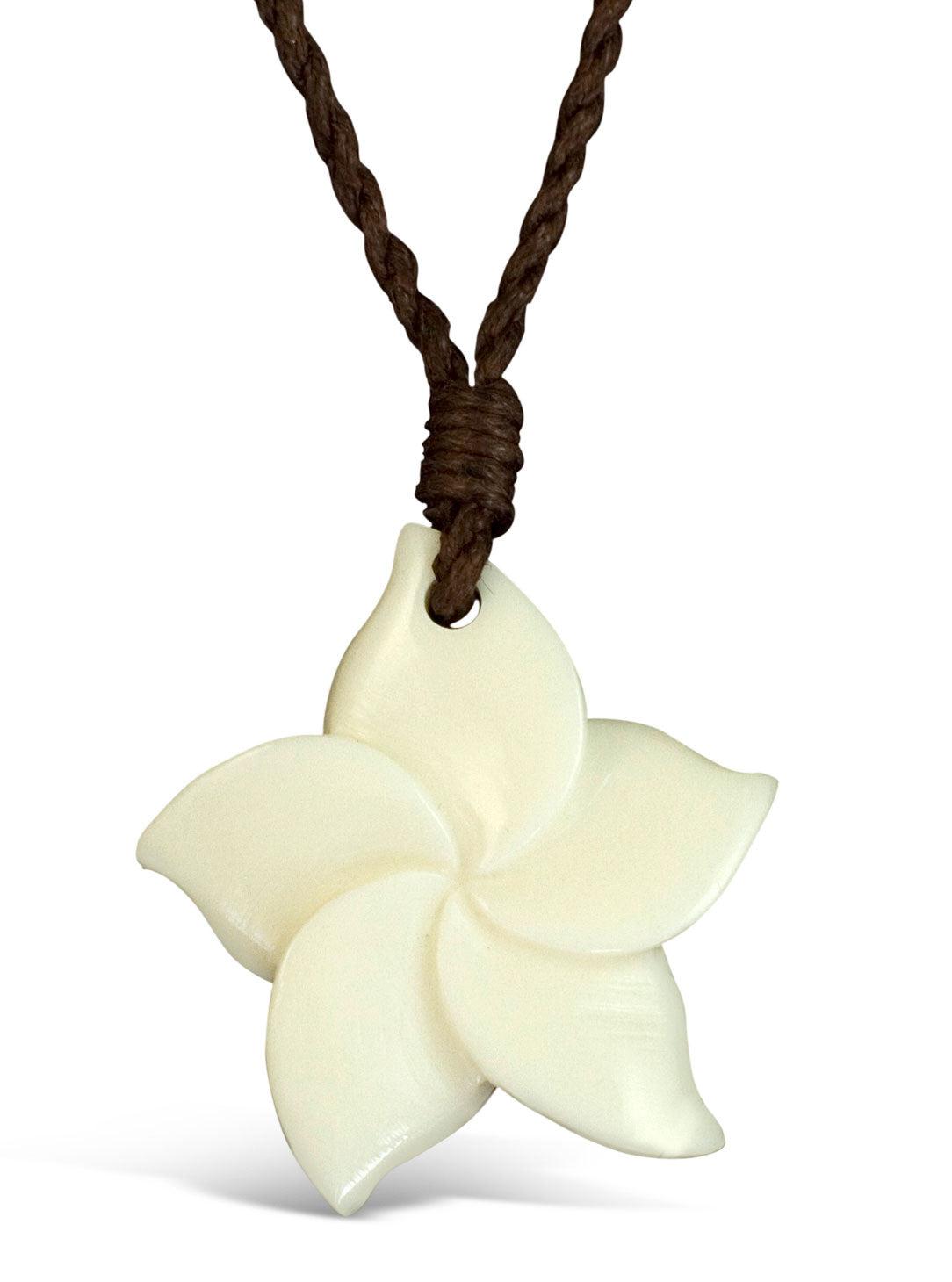 Plumeria - Bone