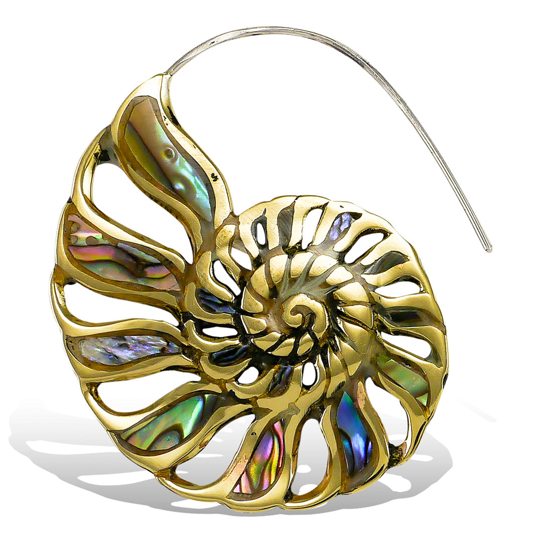 Abalone Nautilus Drops - Silver Posts