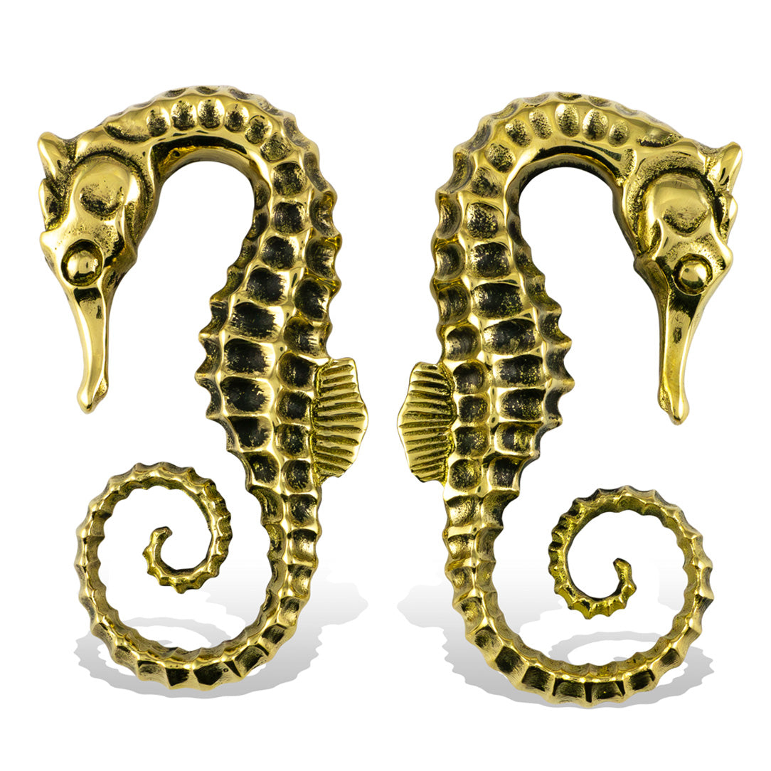 Seahorses - Brass