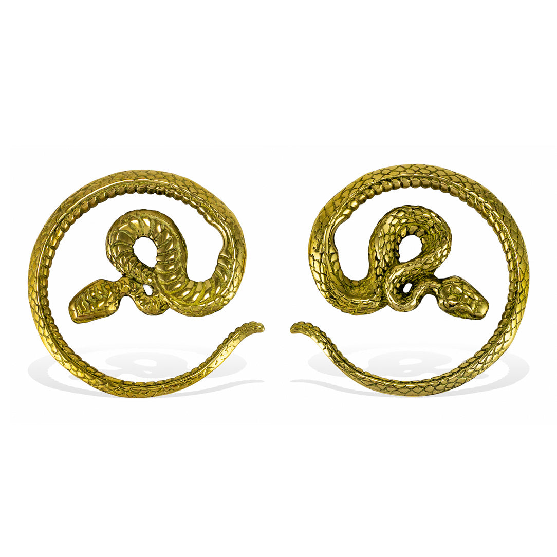 Coiled Snakes - Brass