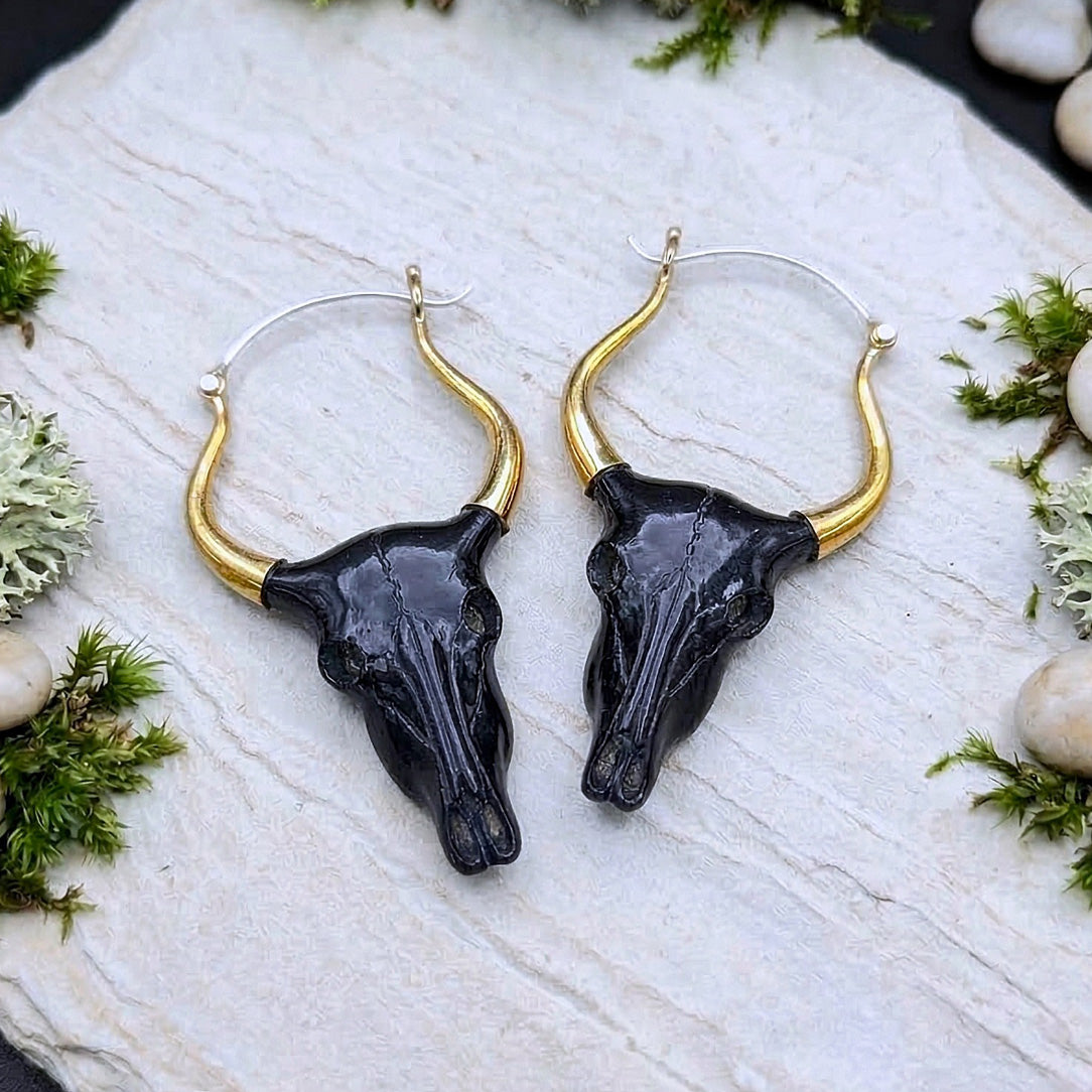 Buffalo Skulls - Horn