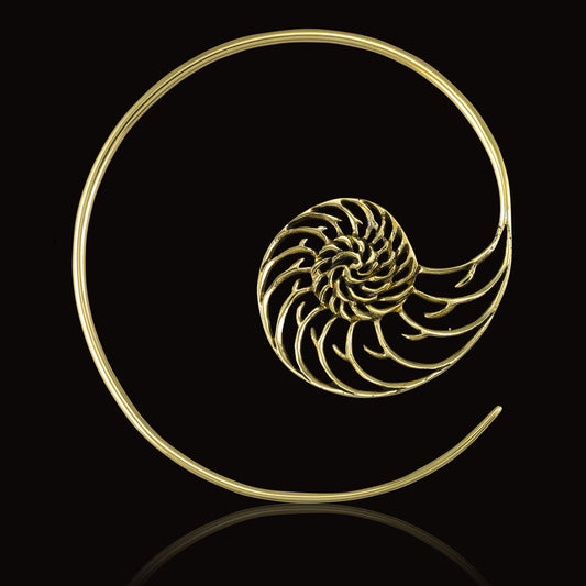 Nautilus Spirals-12ga