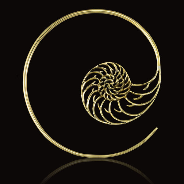 <span>BREX-915<span>: </span></span>12ga Nautilus Spirals