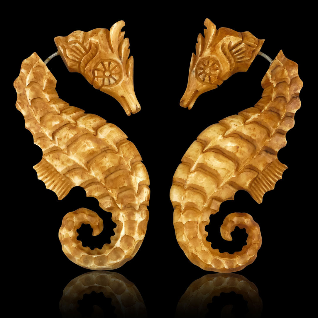 Seahorses - Bone