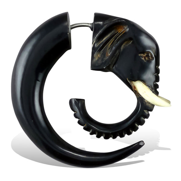 <span>EFH-007<span>: </span></span>Elephant Curls - Horn