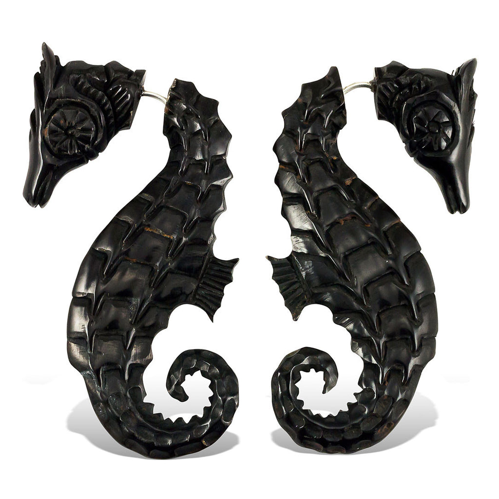 <span>EFH-110<span>: </span></span>The Seahorses - Horn