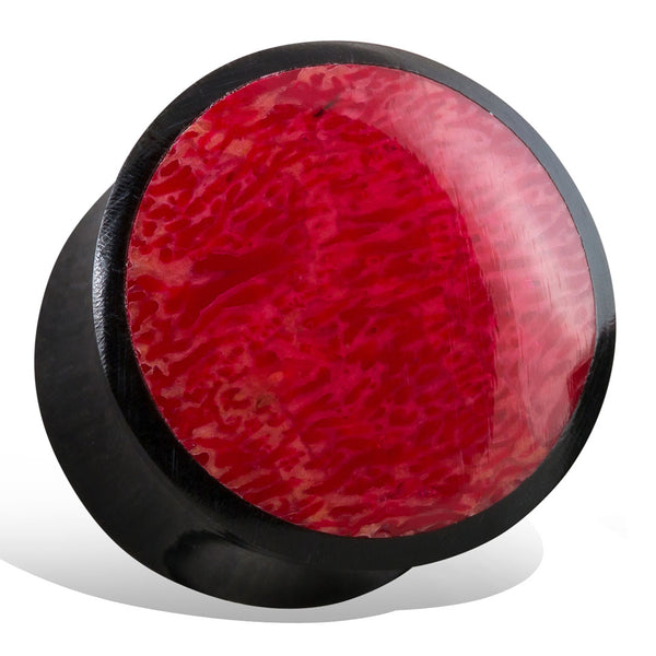 <span>EXPH-102<span>: </span></span>Red Coral Plugs - Horn