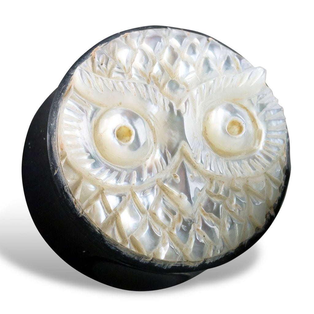 Owl Shell Plugs - Horn