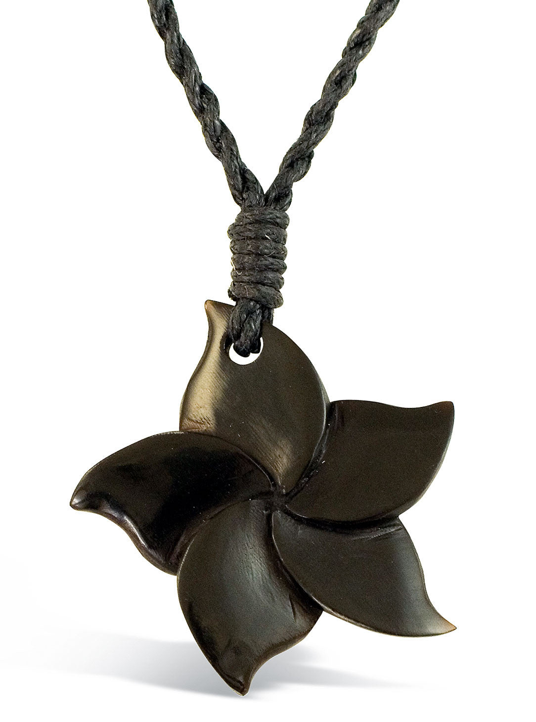 Plumeria - Horn