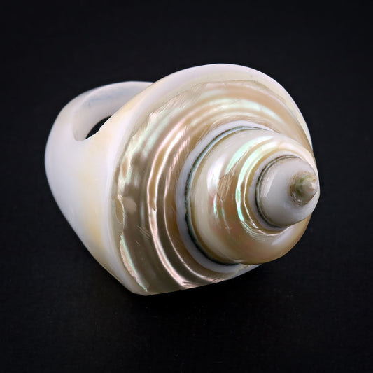 Coned Seashell Ring - Pearl Spiral (Size 9)