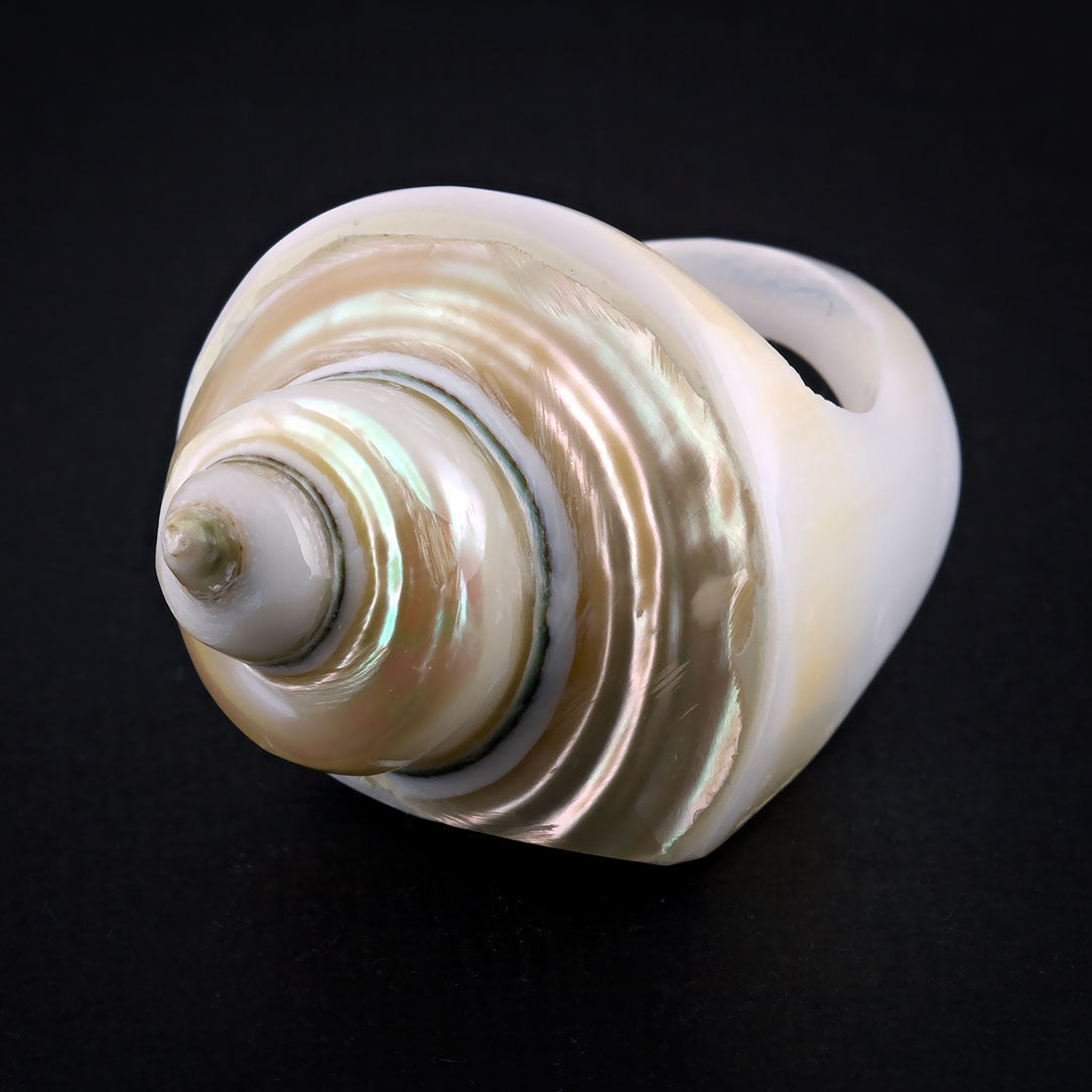 Coned Seashell Ring - Pearl Spiral (Size 9)