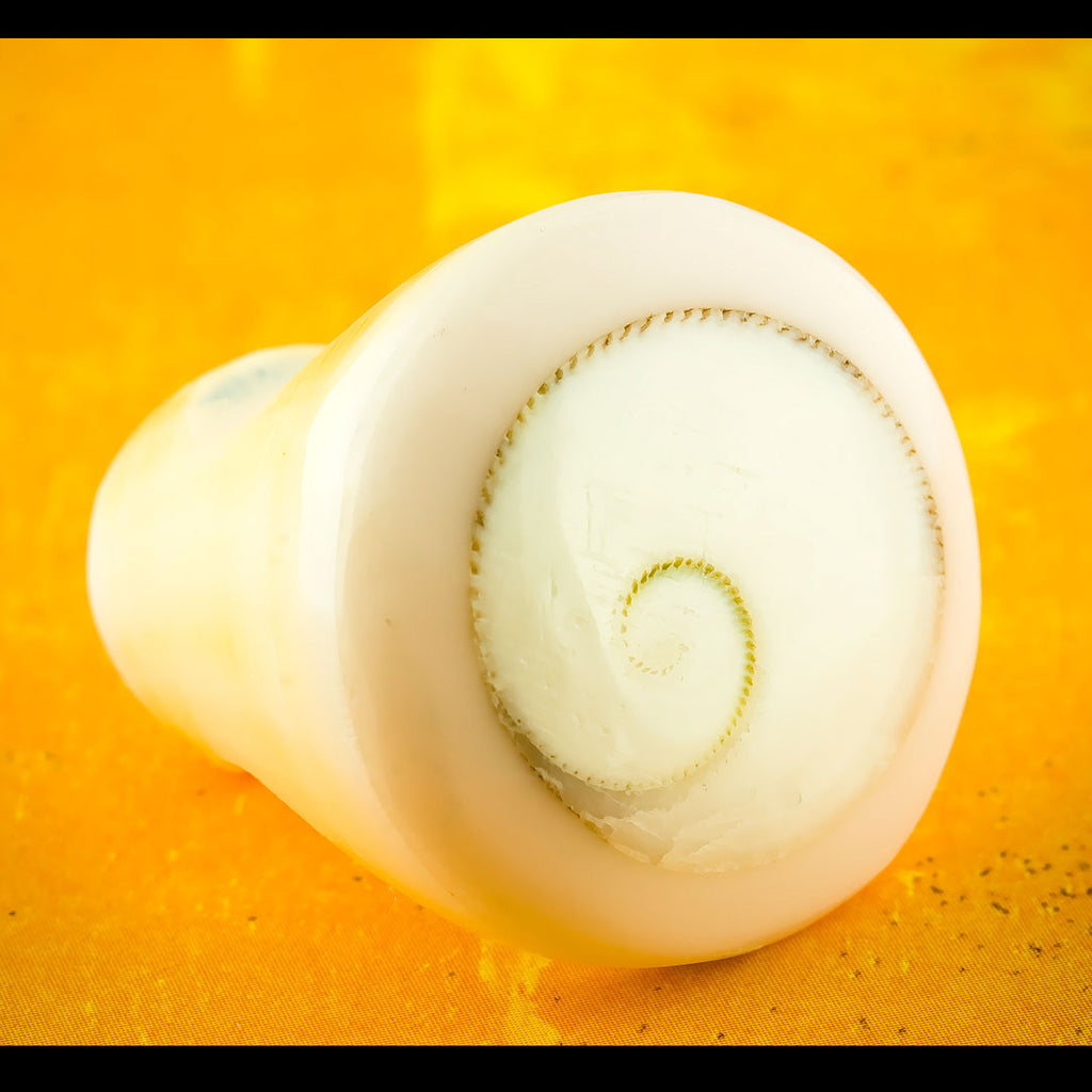 White Seashell Ring - Shiva Eye